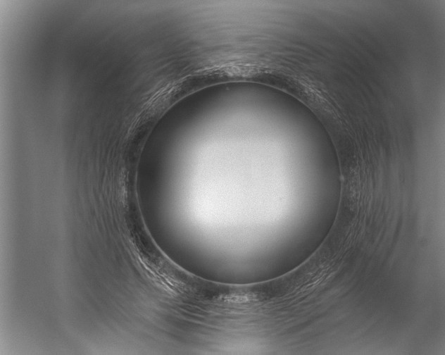 X0000056310639200509161618