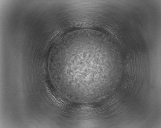 X0000056310643200509161618