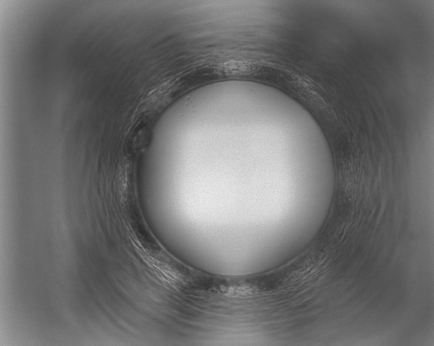 X0000056310645200509161618