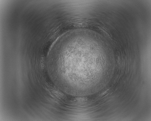 X0000056310659200509161618