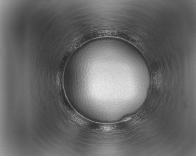 X0000056310662200509161618