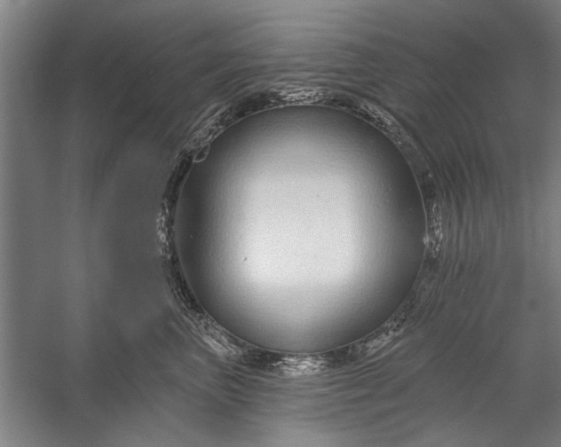 X0000056310667200509161618