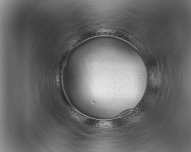 X0000056310668200509161618