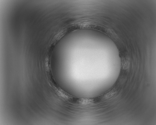 X0000056310670200509161618