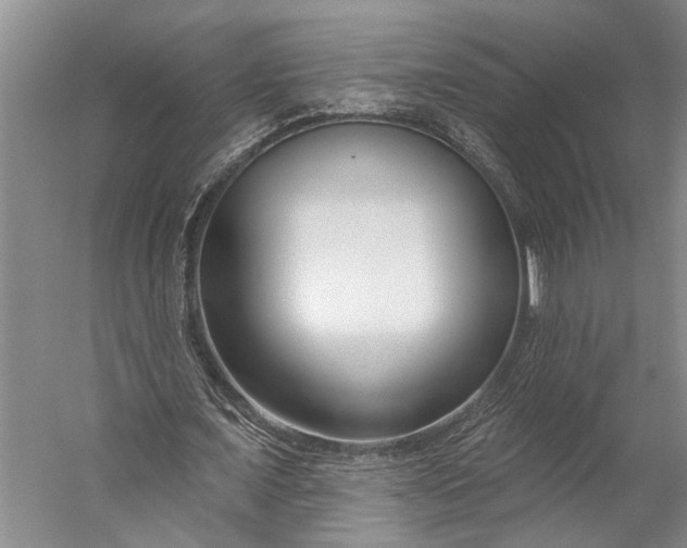 X0000056310675200509161618