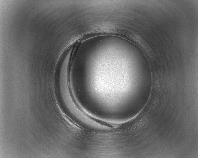 X0000056310677200509161618