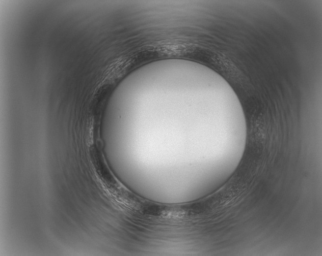 X0000056310694200509161617