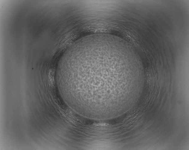 X0000056310695200509161617