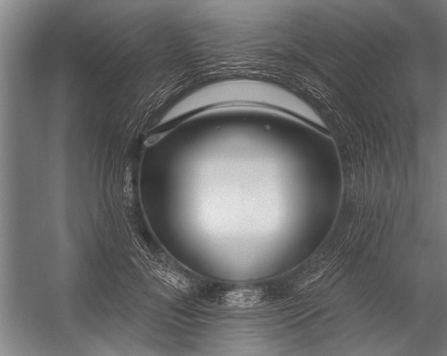 X0000056310700200509161617