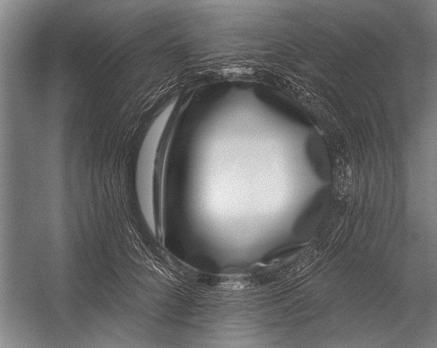X0000056310704200509161617
