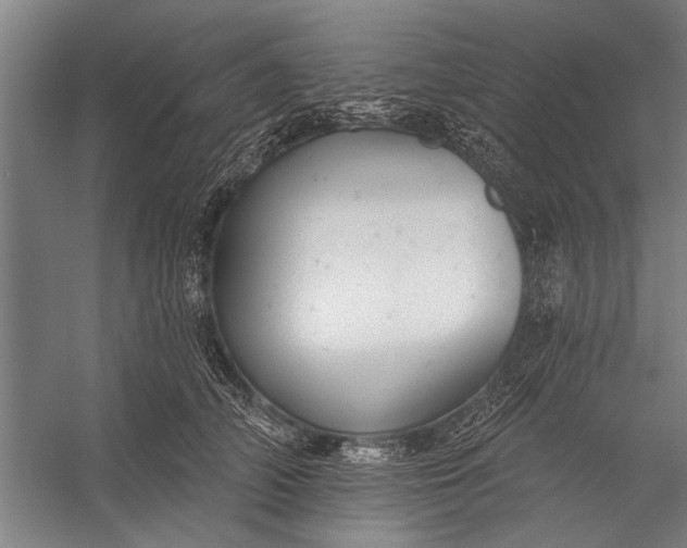 X0000056310706200509161617