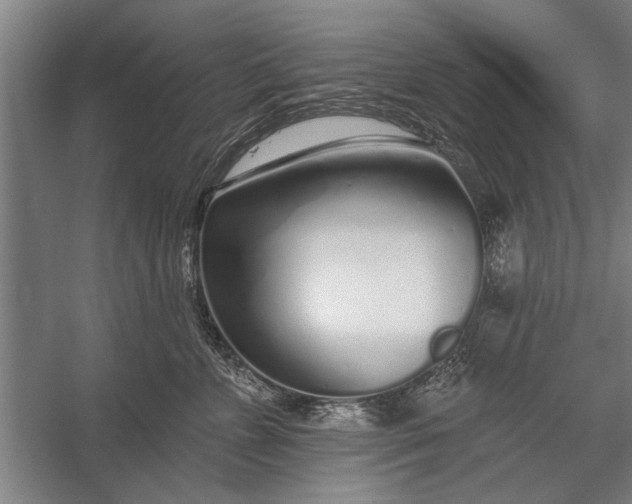 X0000056310715200509161617