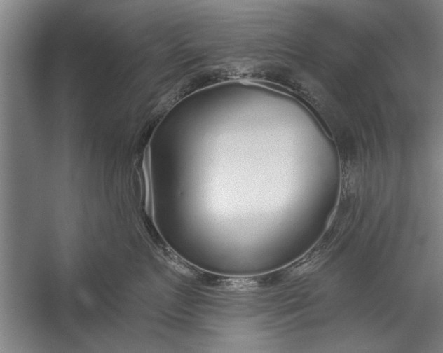 X0000056310719200509161617