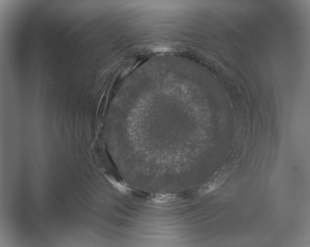 X0000056310720200509161617