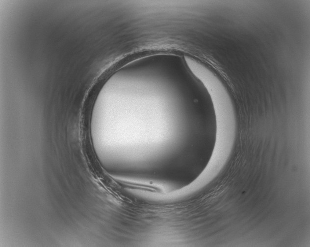 X0000056310724200509161616