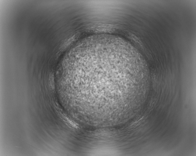 X0000056310729200509161616