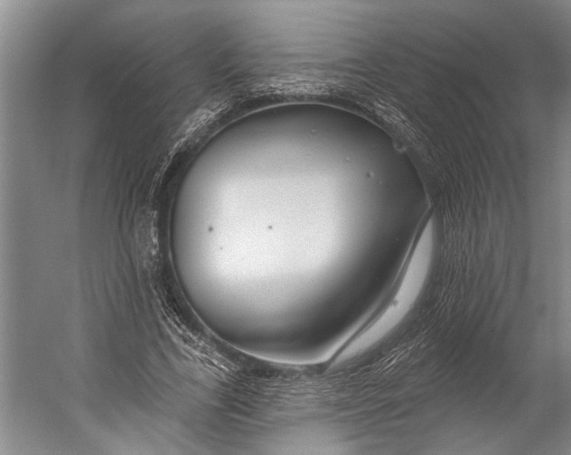 X0000056310731200509161616