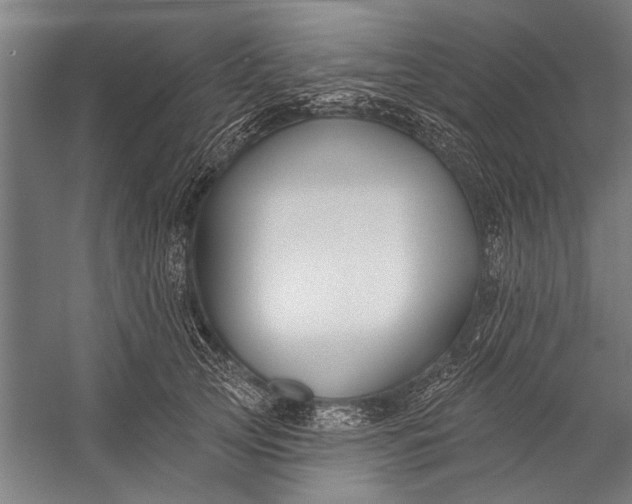 X0000056310753200509161617