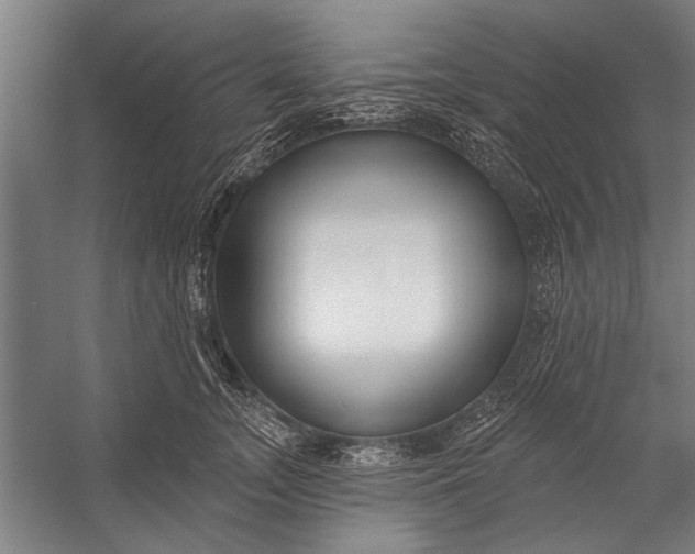 X0000056310755200509161617