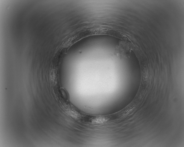 X0000056310759200509161617
