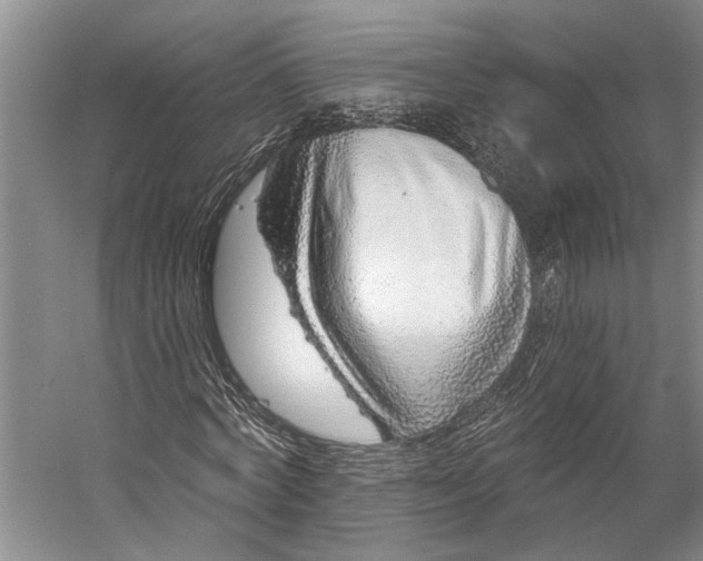 X0000056310772200509161616