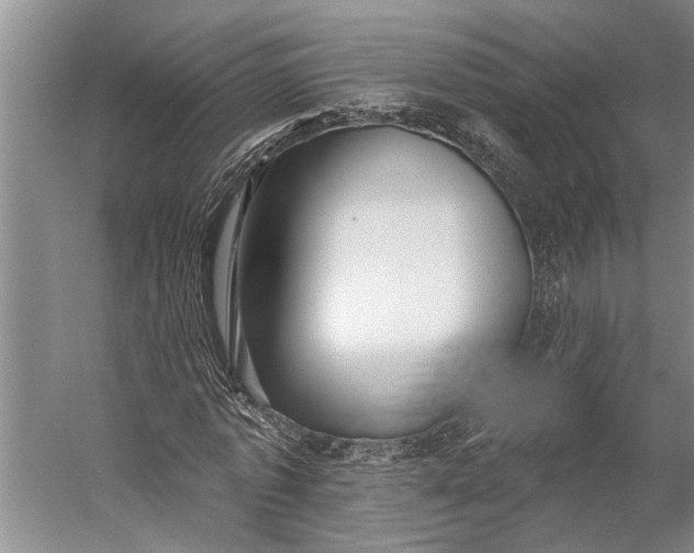 X0000056310773200509161616