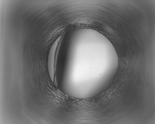 X0000056310774200509161616