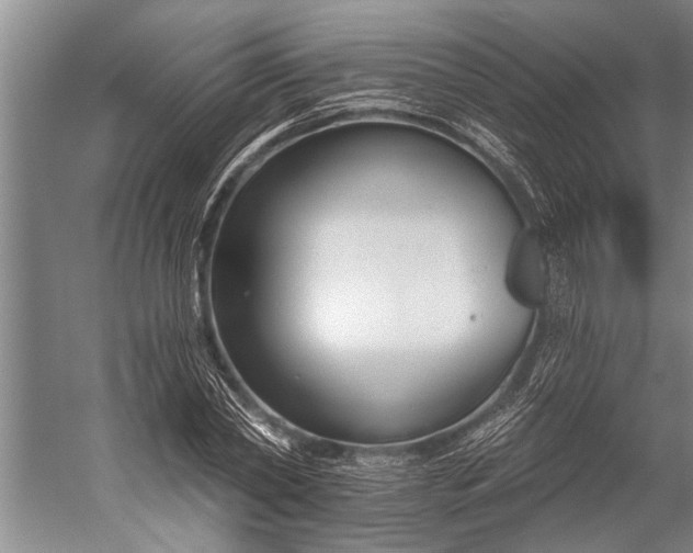 X0000056310782200509161616