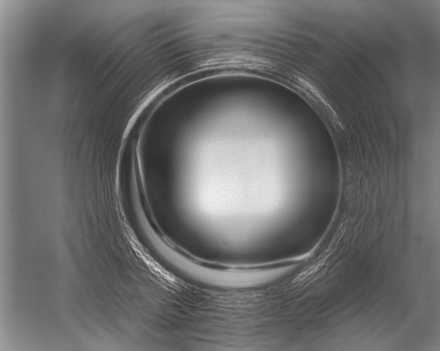 X0000056310788200509161616