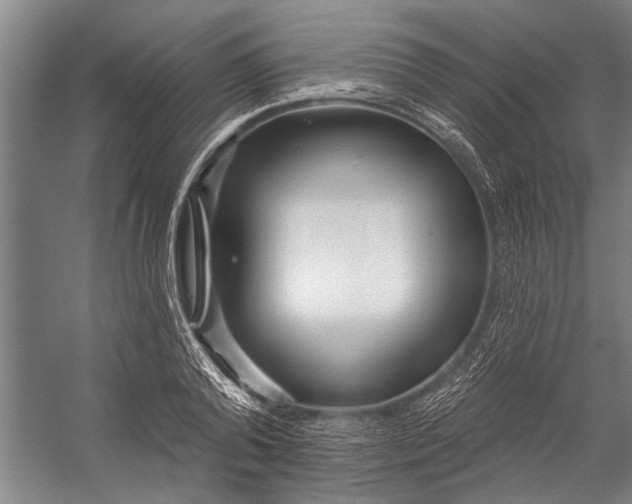X0000056310792200509161616
