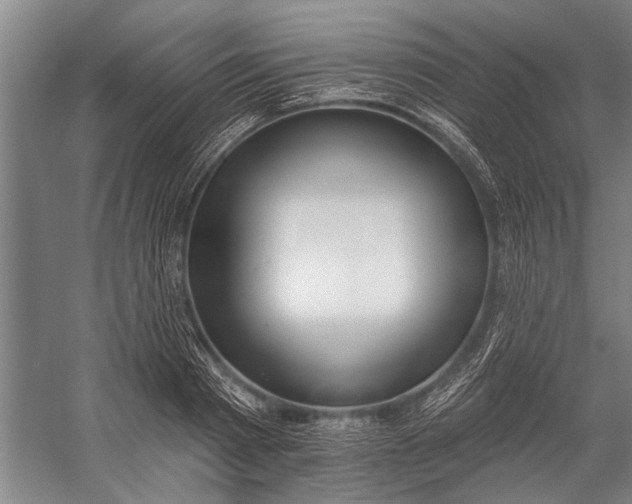 X0000056310793200509161616
