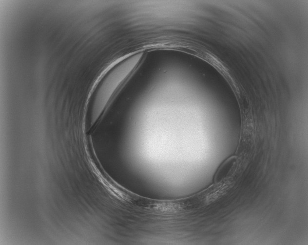 X0000056310803200509161615