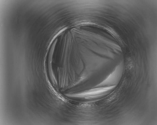 X0000056310806200509161615
