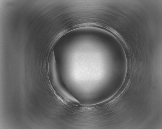 X0000056310809200509161615