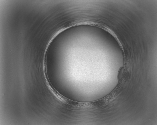X0000056310811200509161615