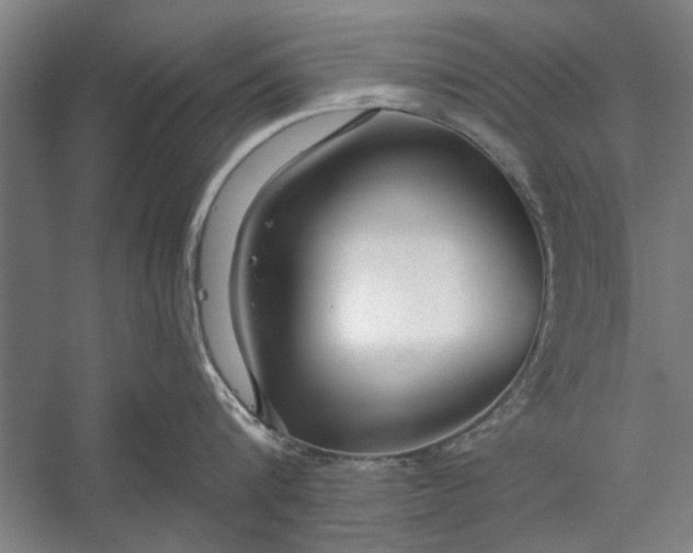 X0000056310816200509161615