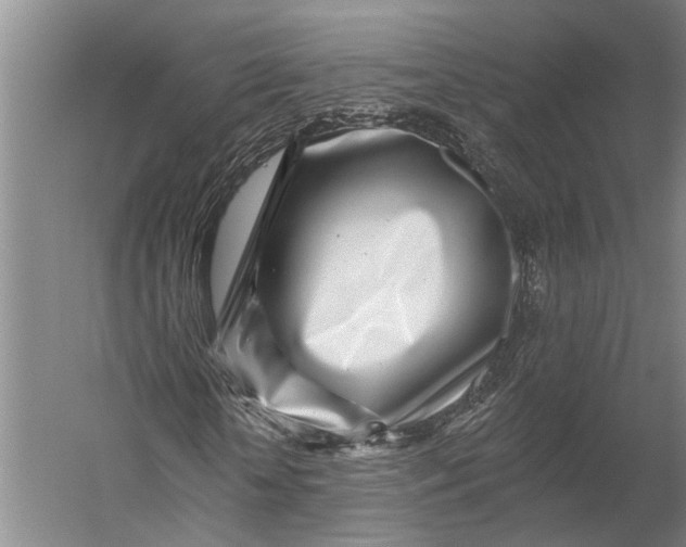 X0000056310818200509161614