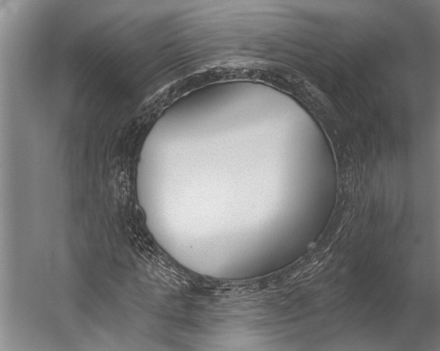 X0000056310821200509161615