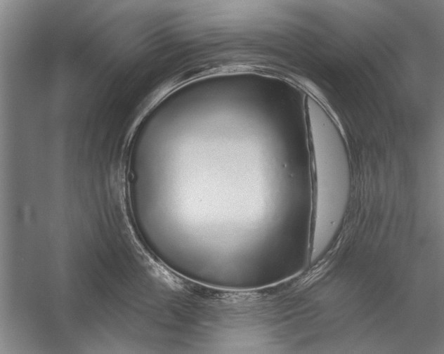 X0000056310859200509161615
