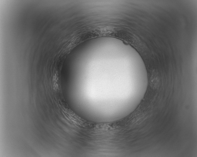 X0000056310866200509161614