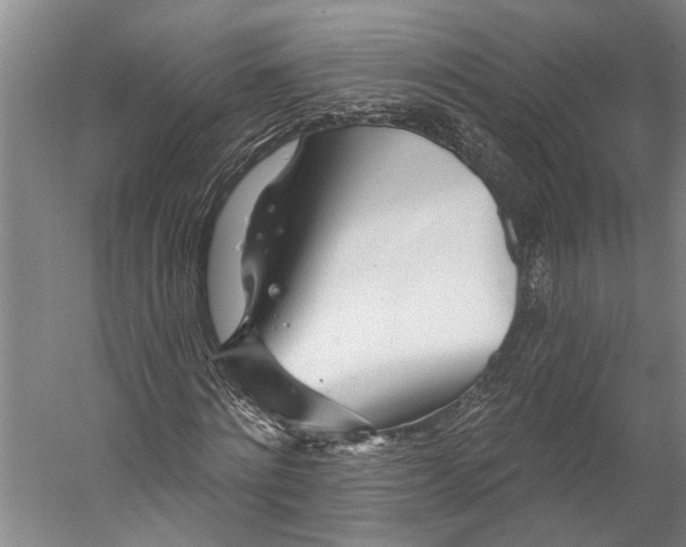 X0000056310868200509161614
