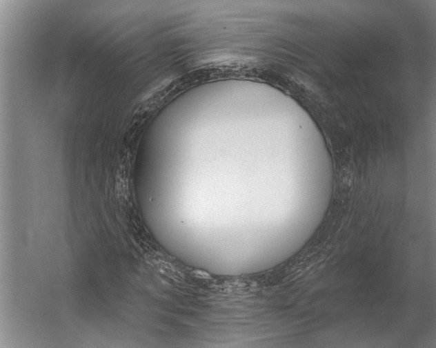 X0000056310869200509161614