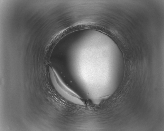 X0000056310872200509161614