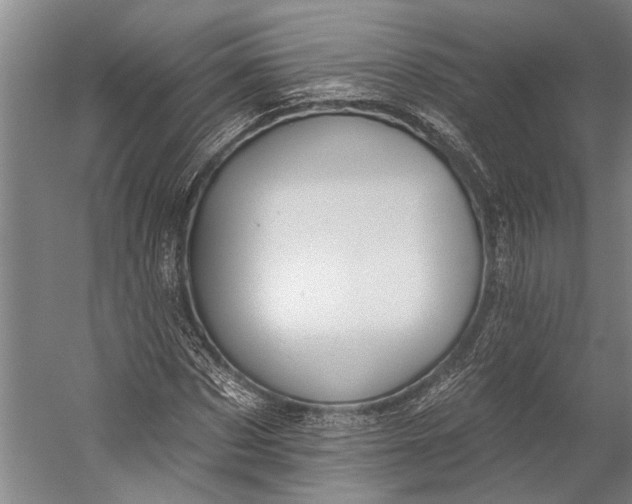 X0000056310873200509161614