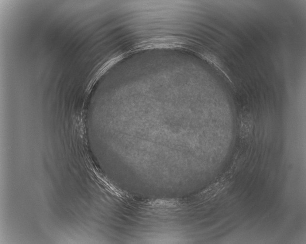 X0000056310874200509161614