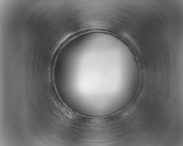 X0000056310875200509161614