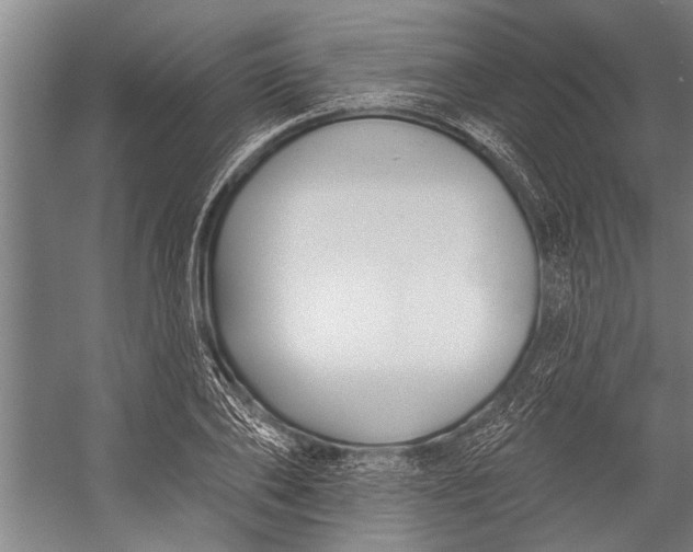 X0000056310886200509161614