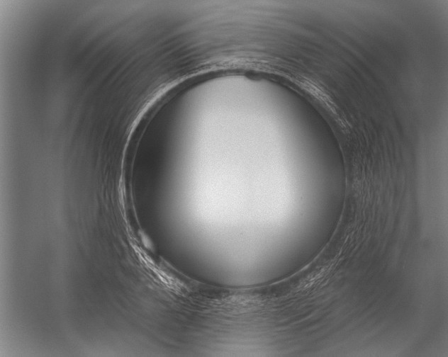X0000056310888200509161614
