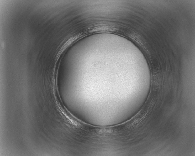 X0000056310890200509161614