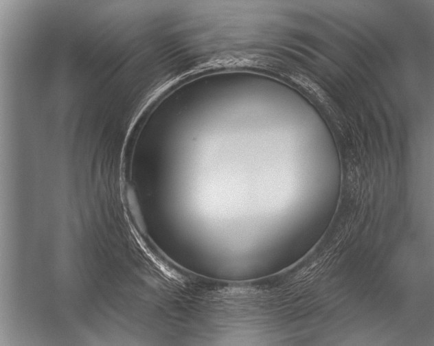 X0000056310894200509161614